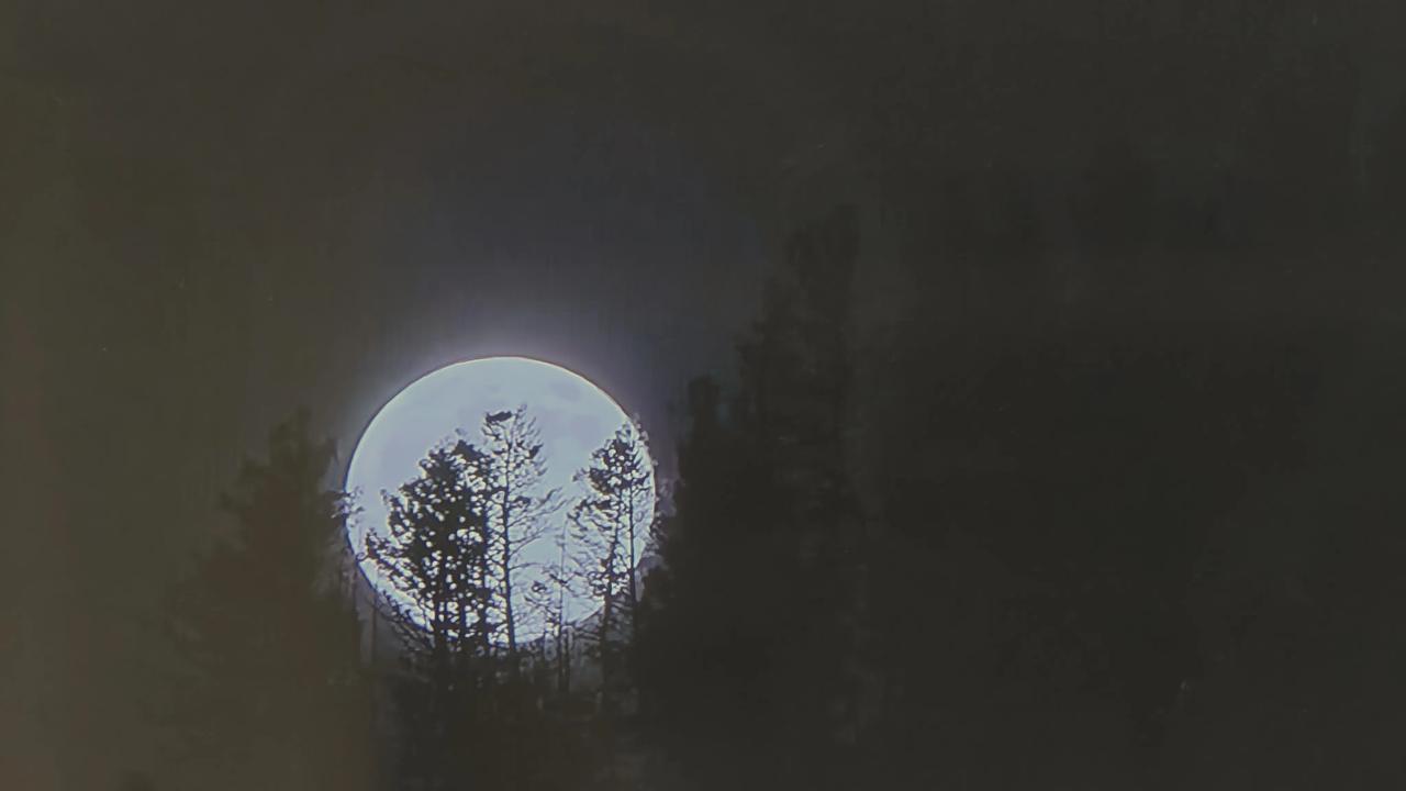 黄石公园月圆夜