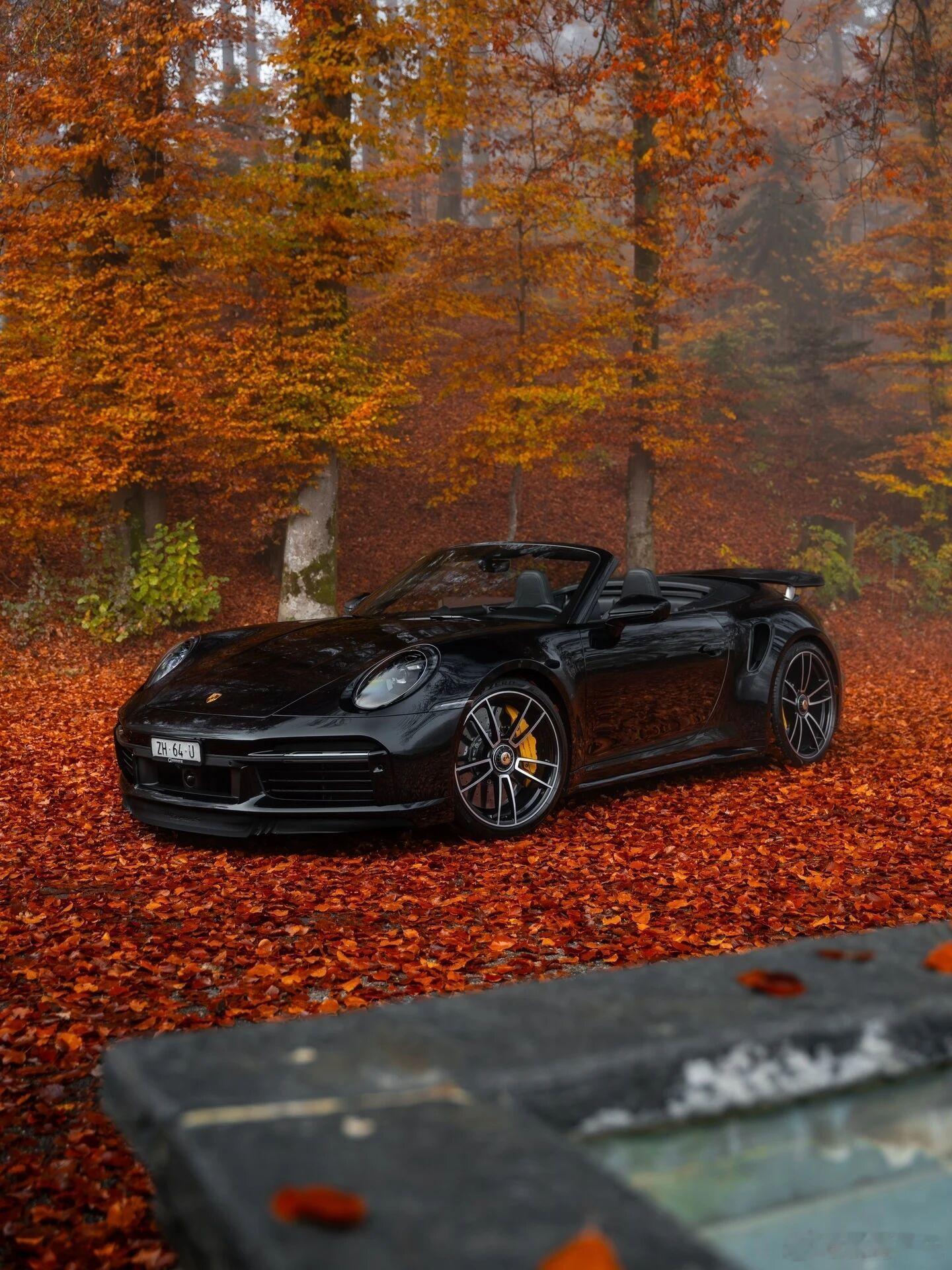 保时捷 秋声静美，动力澎湃。以无声征服蜿蜒，不留痕迹，只留惊叹。大v聊车