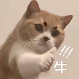 芽柱爱聊历史