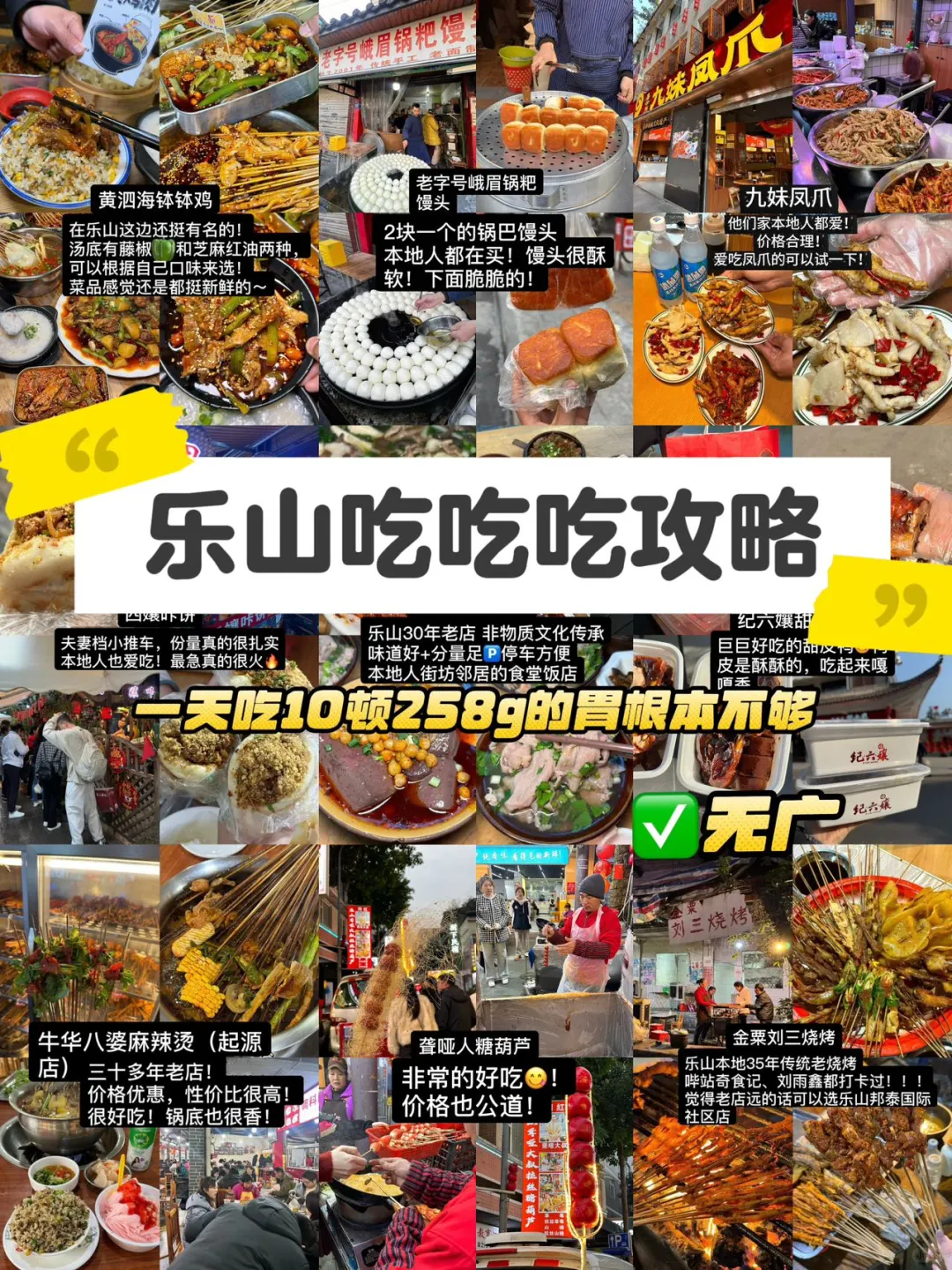 （乐山）我只想带好朋友去吃的🔟家