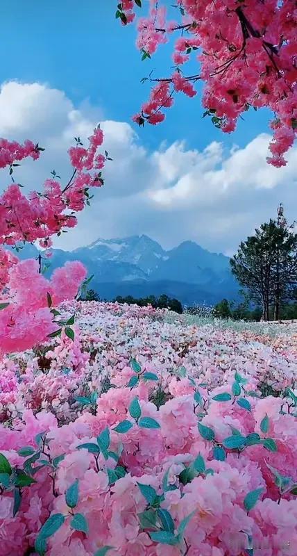 方才漫步于阳光之下，蓦地忆起两位好友。他们先后离去，自此再也无缘领略这春暖花开之