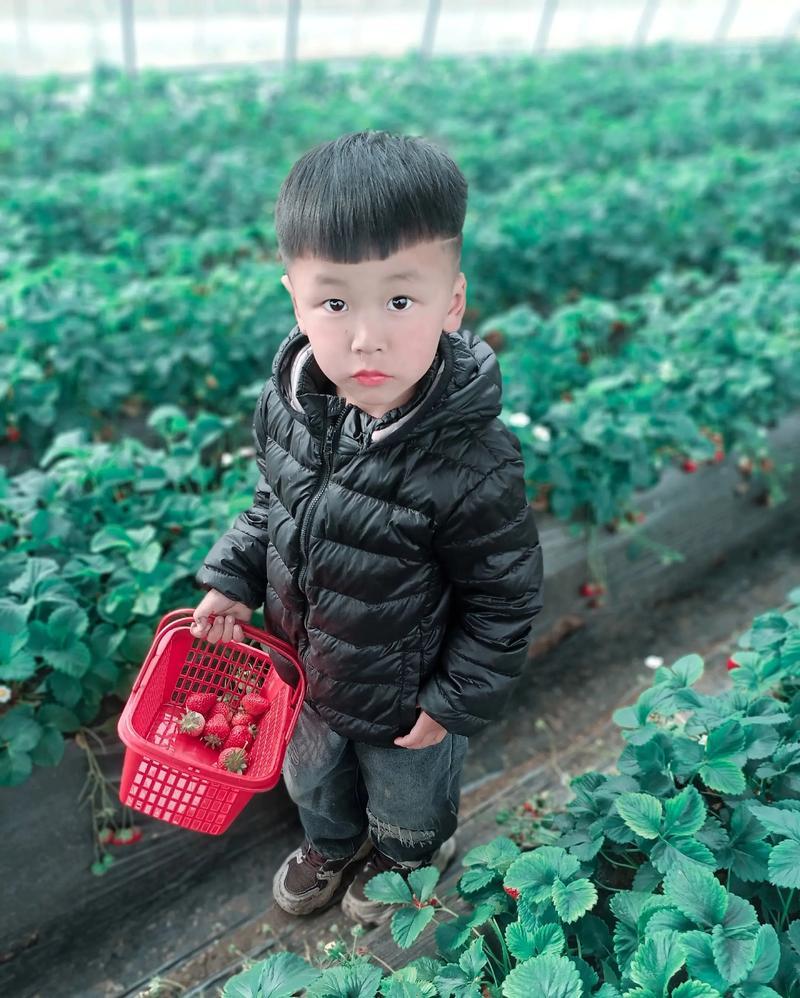 孩子的成长就像一棵树苗，需要多维度的滋养，而不是过度呵护。有些家长把孩子捧在手心