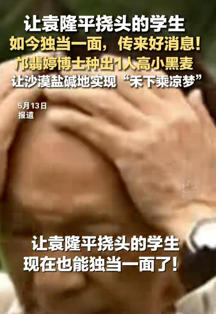 谁能想到当年曾让袁隆平院士无奈挠头的学生，如今早已成长为能独当一面的科研骨干。优