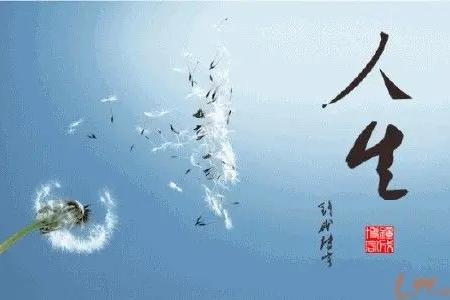 一辈子而已，有什么放不下忘不掉的？ 说这话的人，要么没真正疼过，要么已经疼透了。