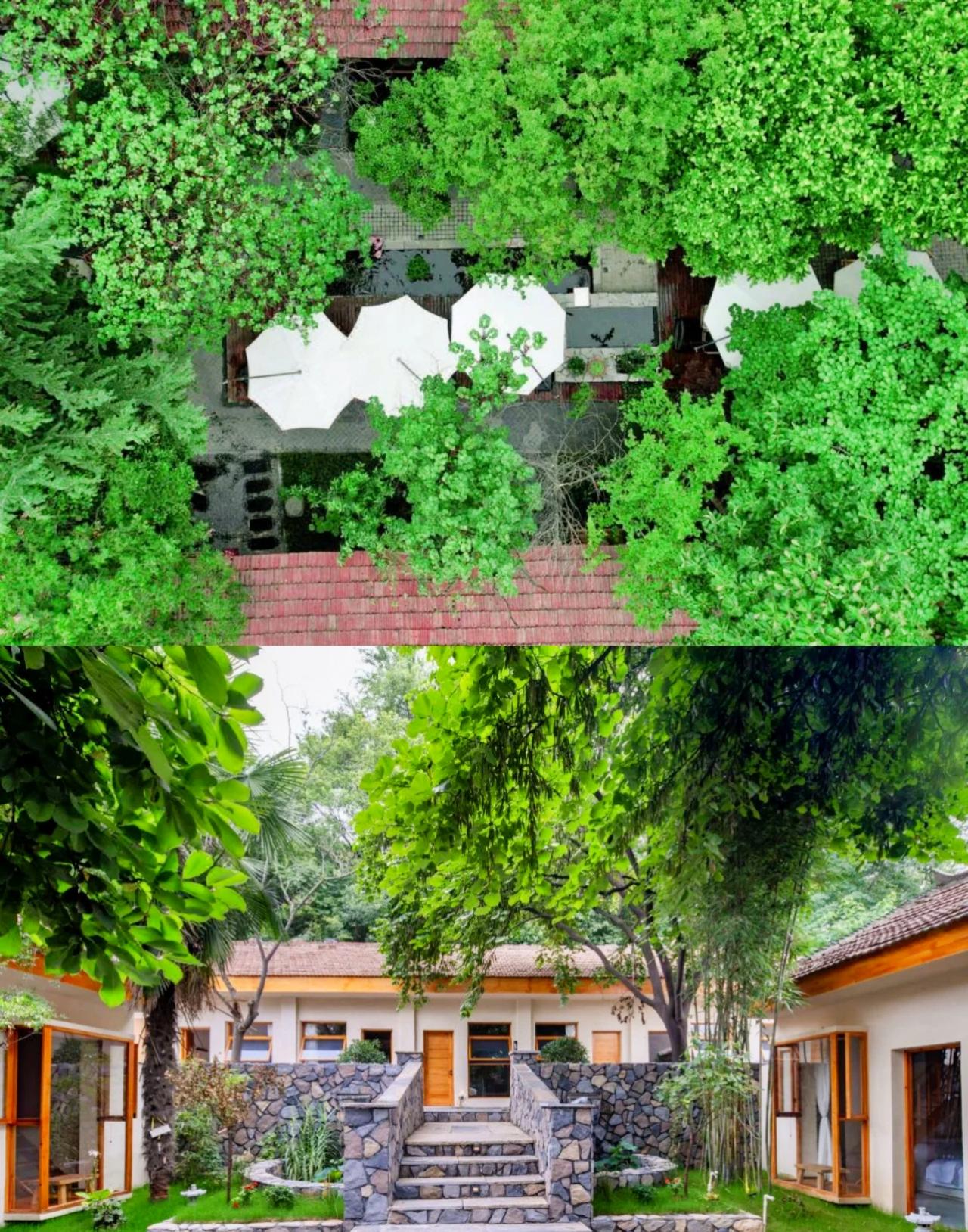 西安秦岭下的温泉♨️民宿…全家都在夸！玫瑰园夜晚的星空🌃
会是整个夏天🌸的怀