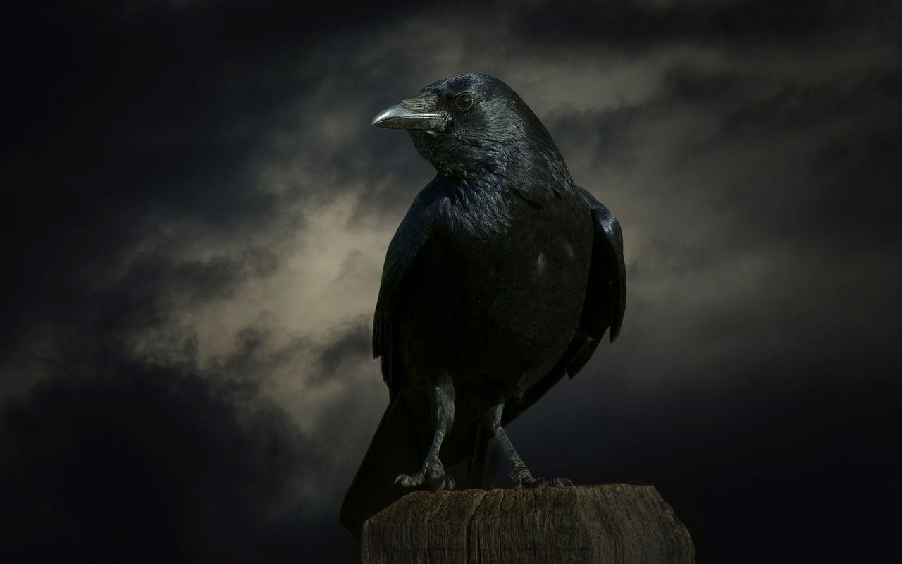 清朝的祖先兴起于长白山，神鹊叼来红果，天女吞下后有了身孕，诞下了满洲人的祖先。