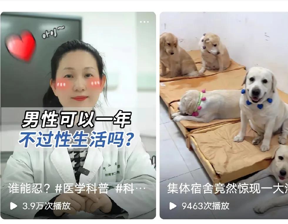 为什么女大夫都愿意讨论这事？这推荐还把一堆狗放一起。评论下边真的是一堆单身狗。什