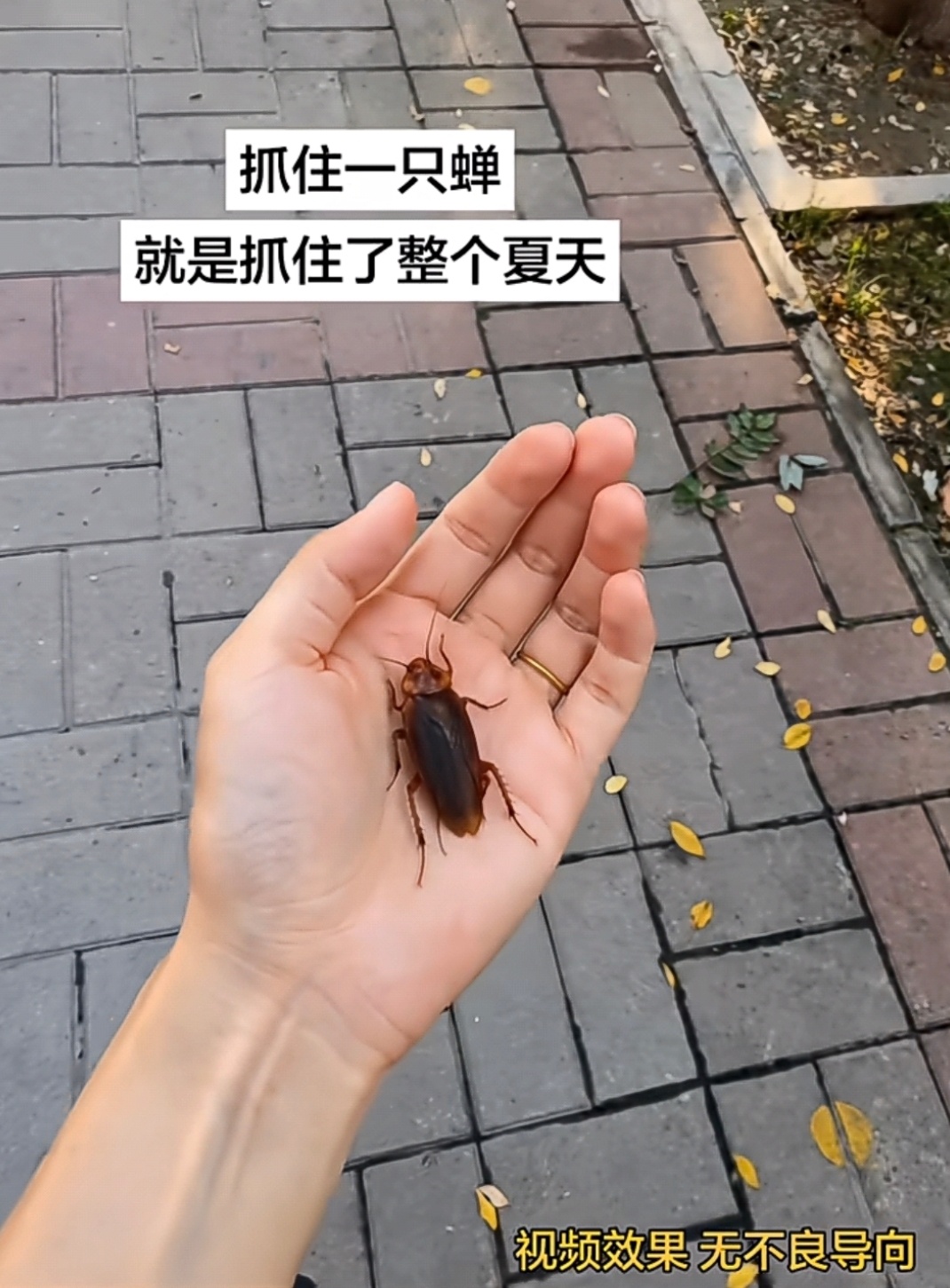 ？ 