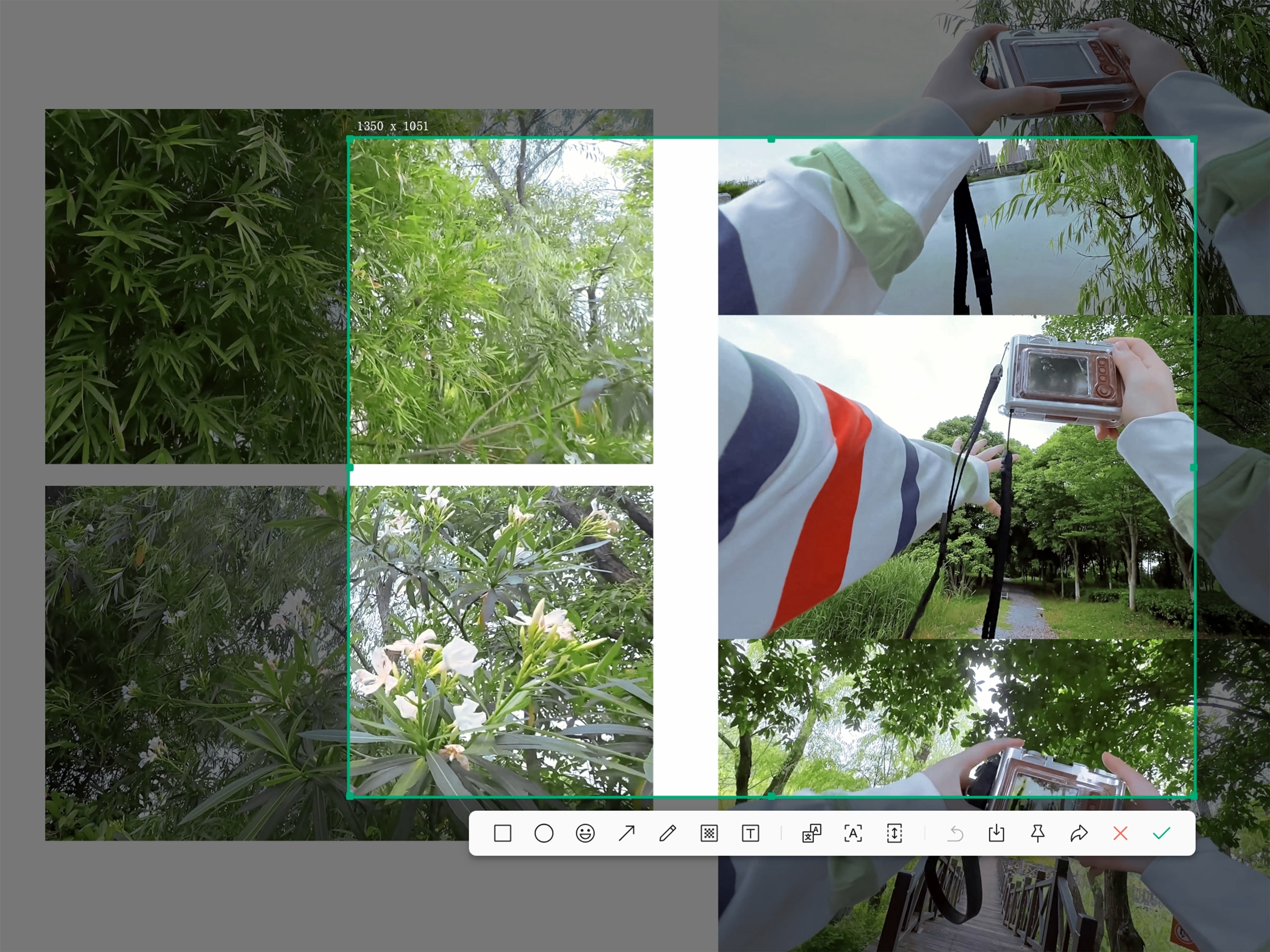 𝗴𝗿𝗲𝗲𝗲𝗲𝗲𝗲𝗻 𝗱𝗮𝘆.🍃🕊️💚好喜欢这个vl