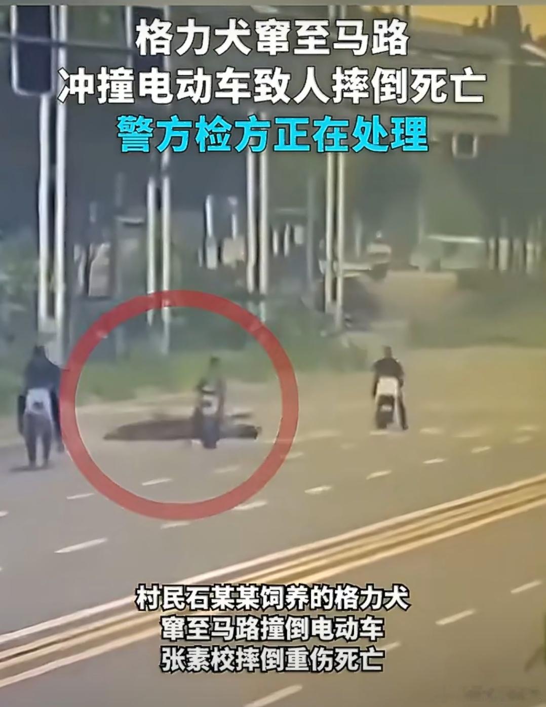 警方回应女子骑行被狗撞倒身亡2025年7月20日，河北邯郸38岁女子张素校骑电动