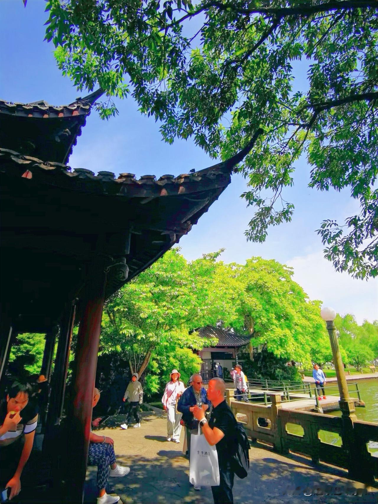 周末西湖孤山行，‌平湖秋月‌是‌杭州西湖十景‌之一，位于‌西湖孤山南麓，地处白堤