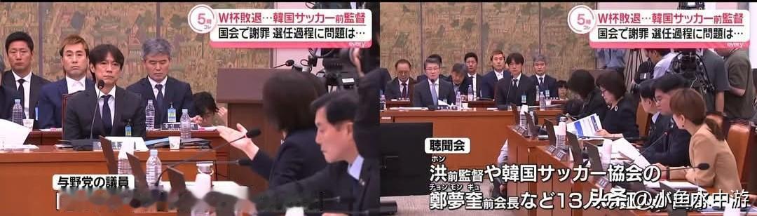 洪明甫接受国会议员直播质询，日本网友直呼这是政治审判！
 
韩国体育界的“国会问