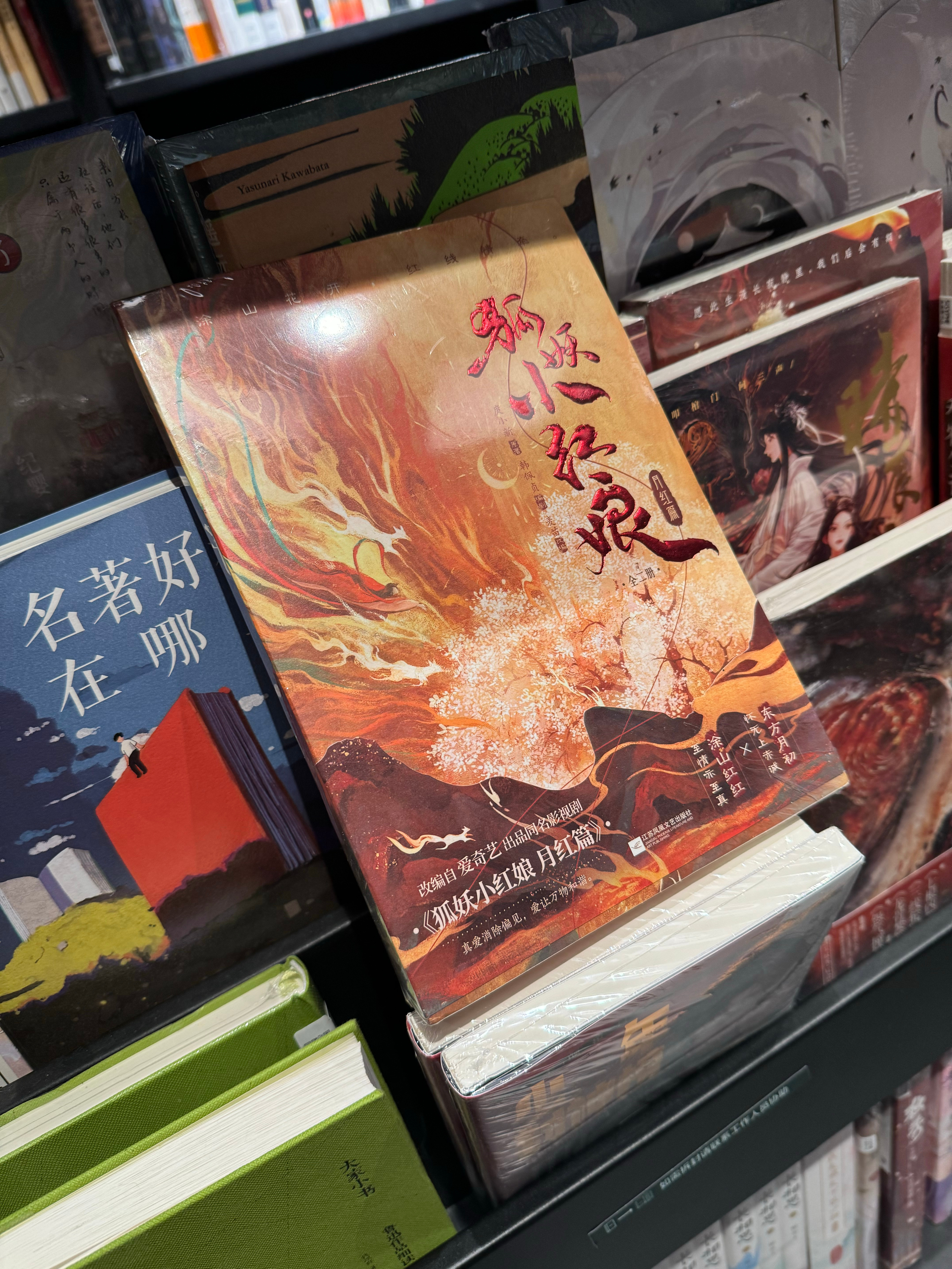 我在书店仔细翻阅了 《狐妖小红娘月红篇》的剧本，编剧是韩佩贞，主题是真爱消除偏见
