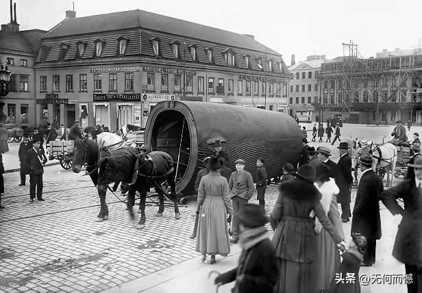 在这张老照片中，一个马车拉着一个巨大的圆圈，如果不了解细情的话，很多人大概都不知