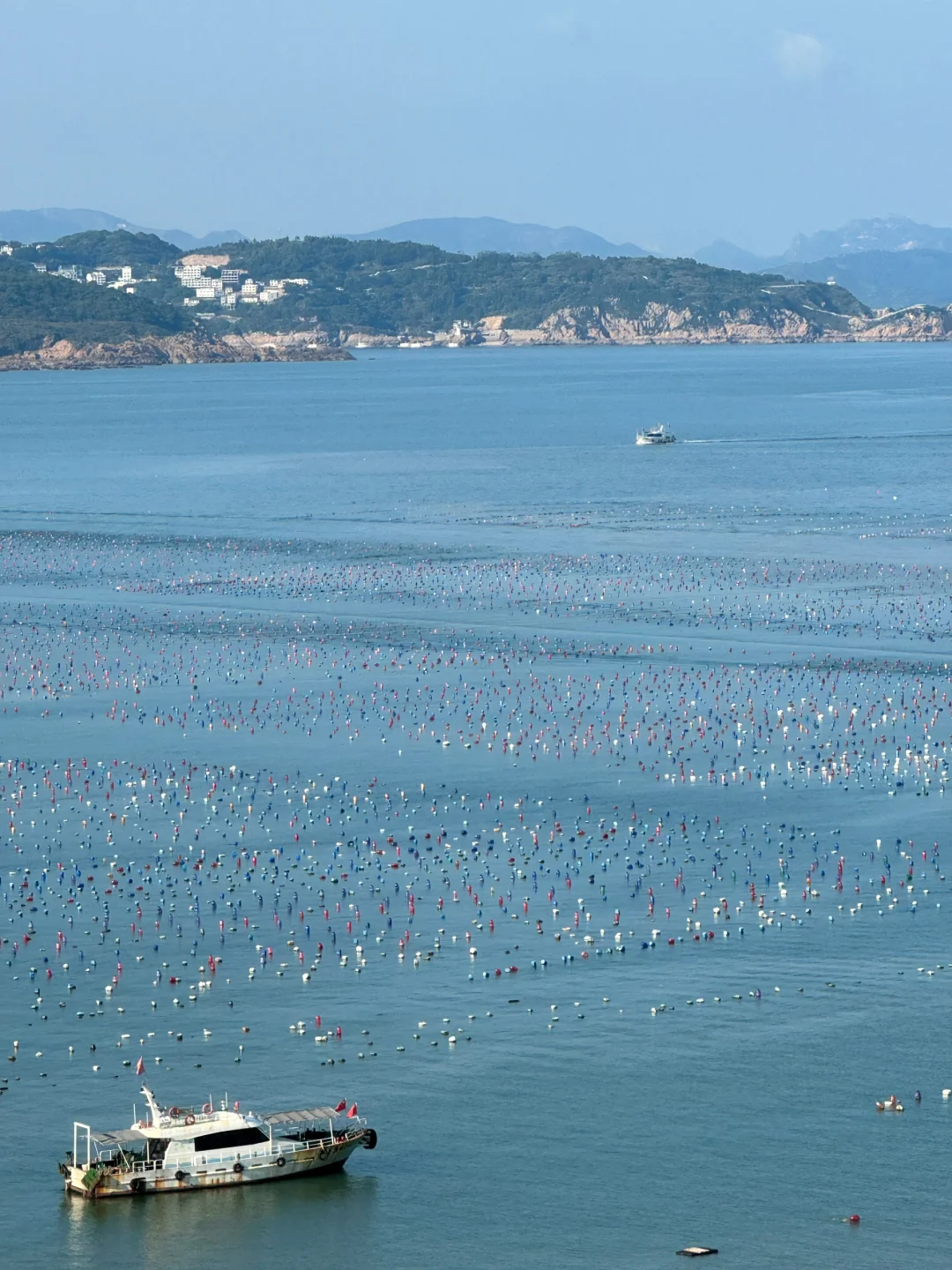 江浙沪油画海岛🔥苍南168 海岸线