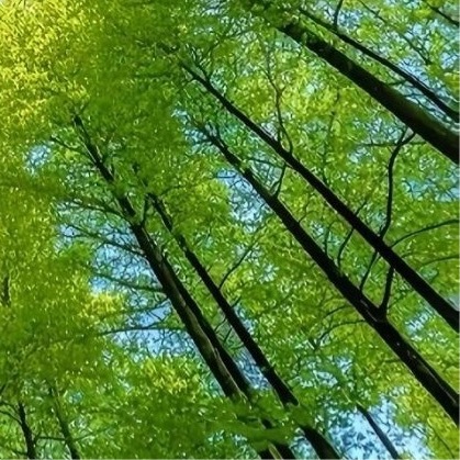 阳光信用  💫阳光信用  💫每日一善阳光，是前行的火，点亮我们前行的灯；阳光