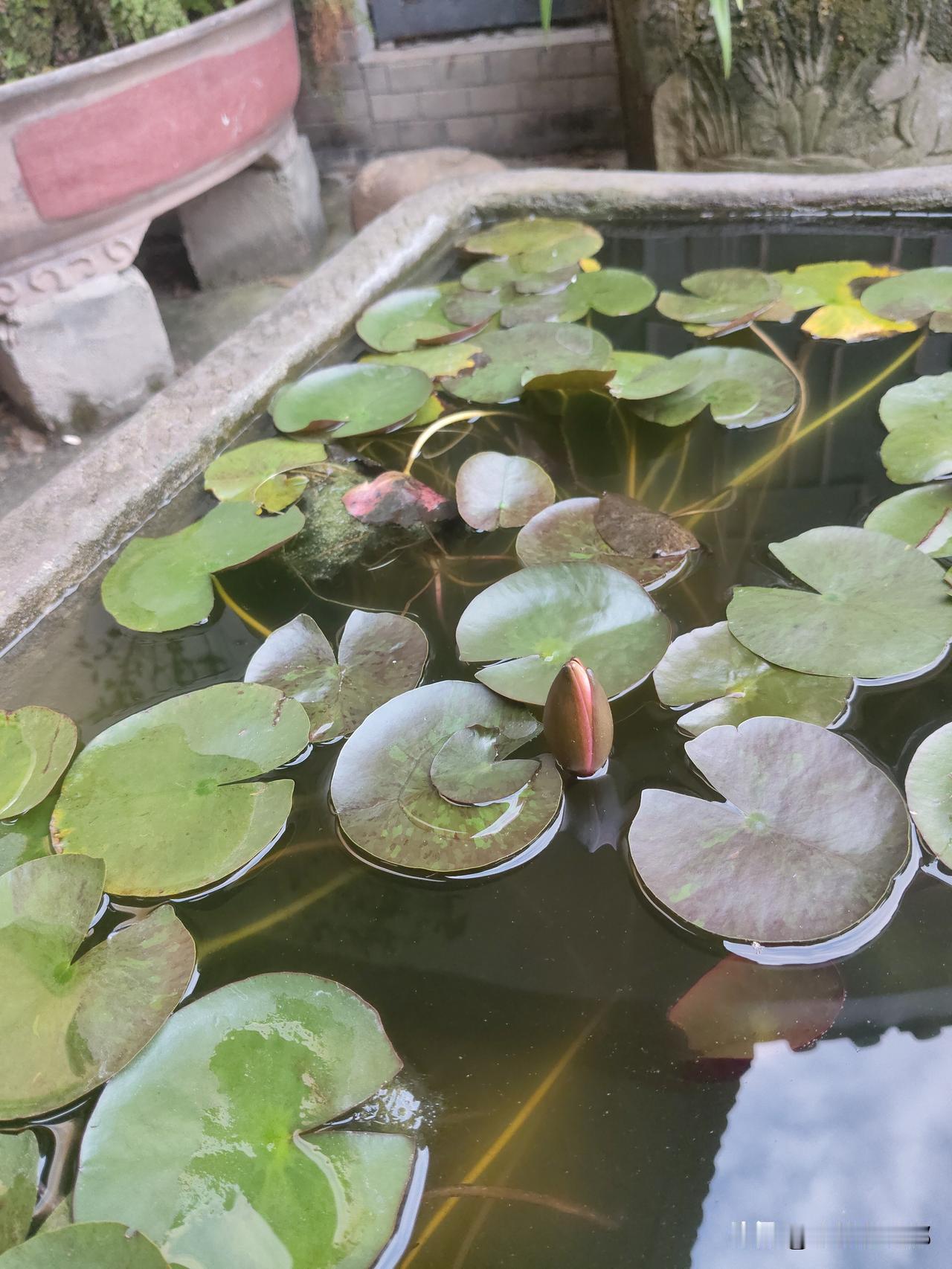 昨晚上12点过，我们同栋小区的住户好多都跑出来了，在一楼的广场里面，还在大声的说