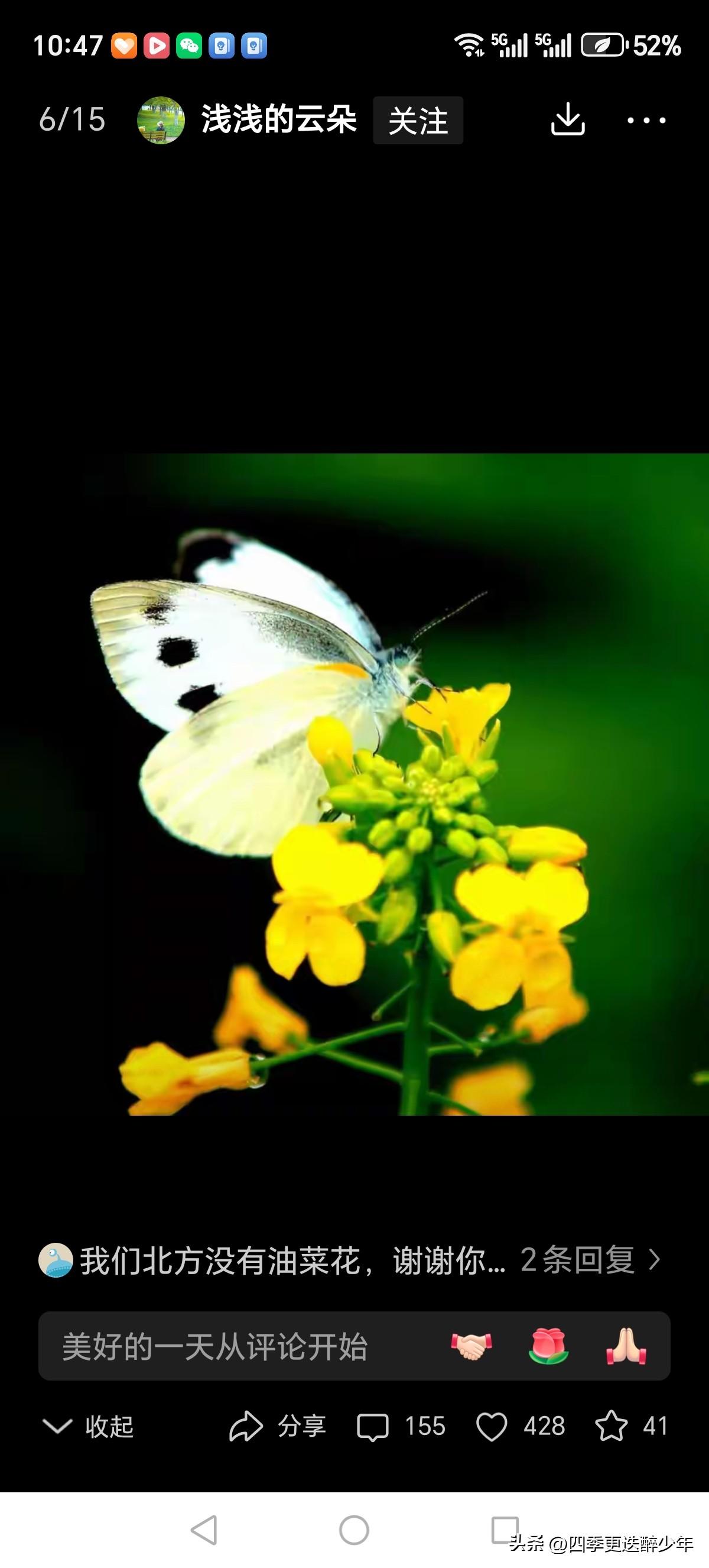 中东炮火震天响，
我们赏花油菜香。
世界真的不一样，
守住国门筑高墙，
豺狼仰望