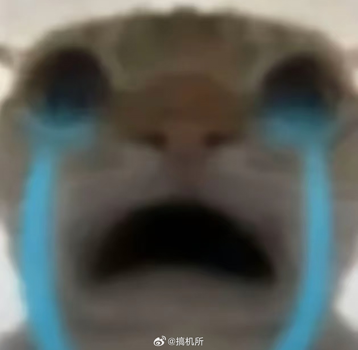 理发店潜规则去理发店不要办卡不要充卡，也不要相信理发师的推销 