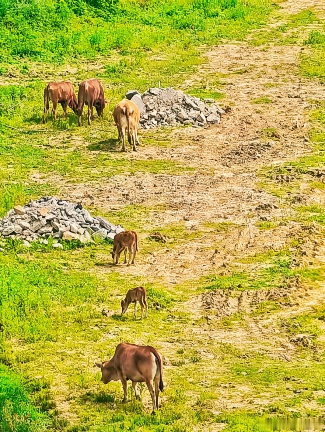 走一走，停一停，江南天天拍 眼见的是风景，眼不见的也是风景…… 我用眼睛寻找美丽