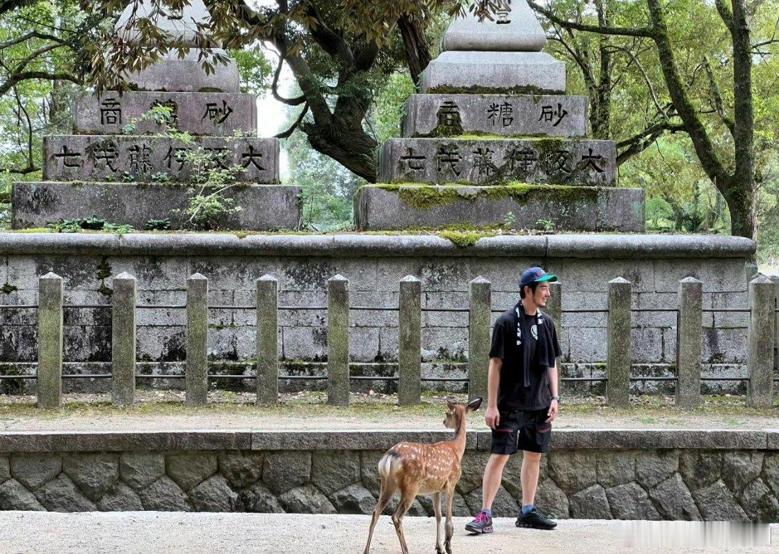 有网友偶遇在日本的金世佳[赢牛奶][赢牛奶][赢牛奶]和小鹿在一起追求自然的感觉