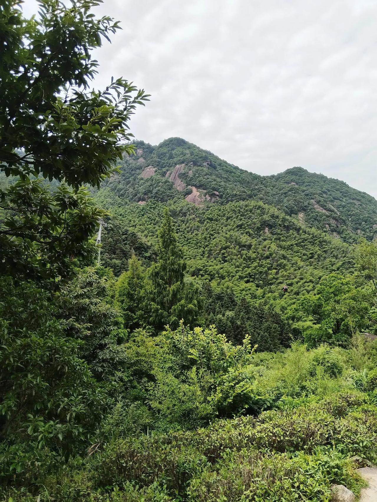 《登山》
俗世恼喧嚣，且将野趣邀。
泉烟浮岭畔，林巘隐山腰。
云外心无尽，风中愁