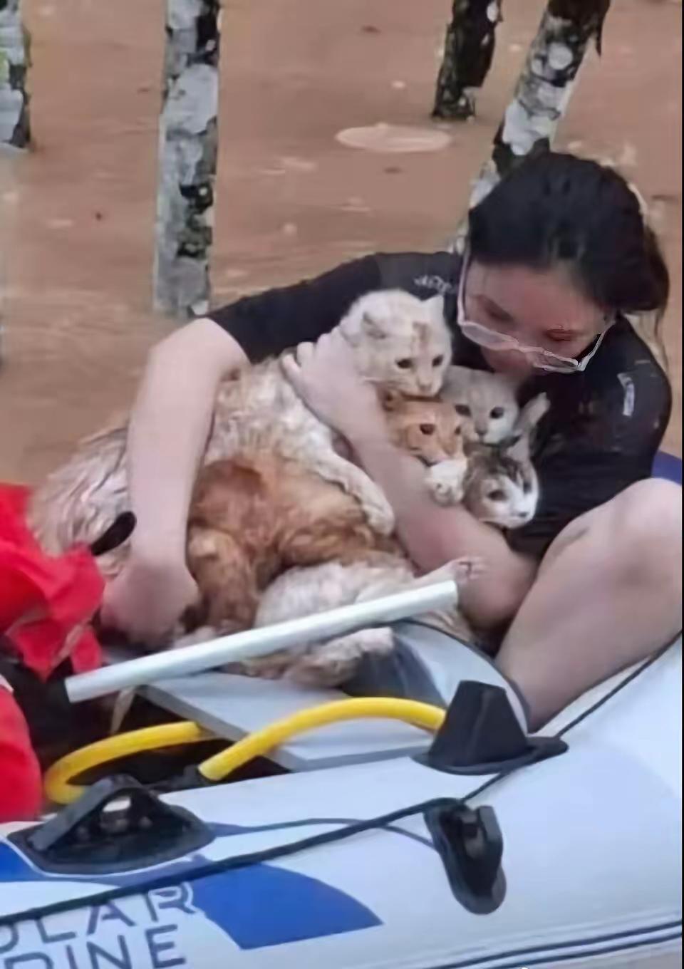 就说一张图——浑黄的洪水漫过街面，一个小女孩把几只小猫全搂在胸口，腰弯得低低的，
