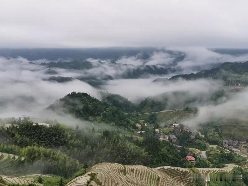 广西龙胜梯田美如画 雨后初霁的广西龙胜梯田，那真堪称一绝！
在桂林市龙胜各族自治