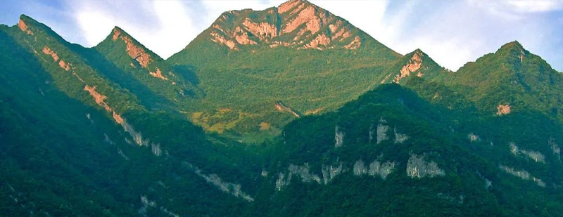 #6名女大学生荒野求生失踪系剧情#【6名女大学生荒野求生失踪？官方辟谣：真人秀剧