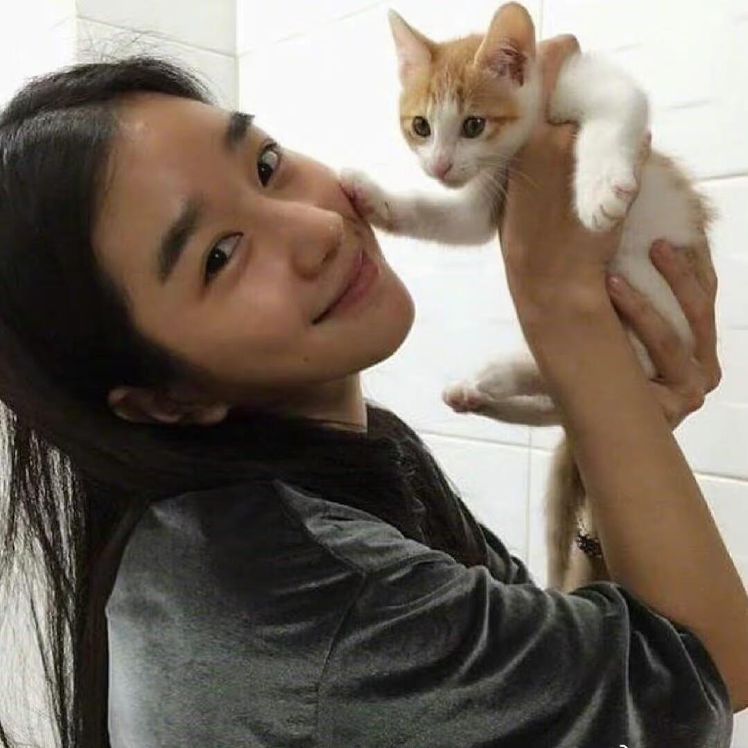 一些平静的疯感美女 