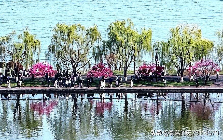 [玫瑰][玫瑰][玫瑰]西湖苏堤那“一株杨柳一株桃”的景象，简直美出了天际！
漫