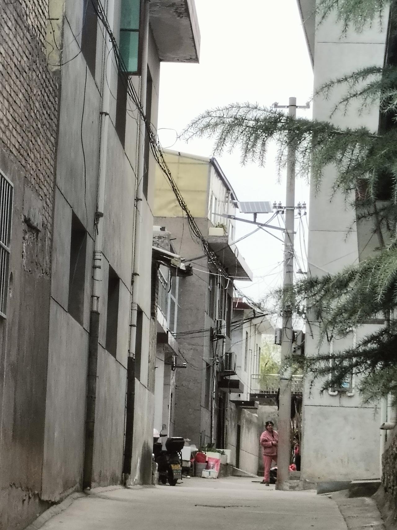 老巷里的时光总是慢得很，电线牵着日子，雪松垂着温柔，连站在路口的身影都裹着烟火气