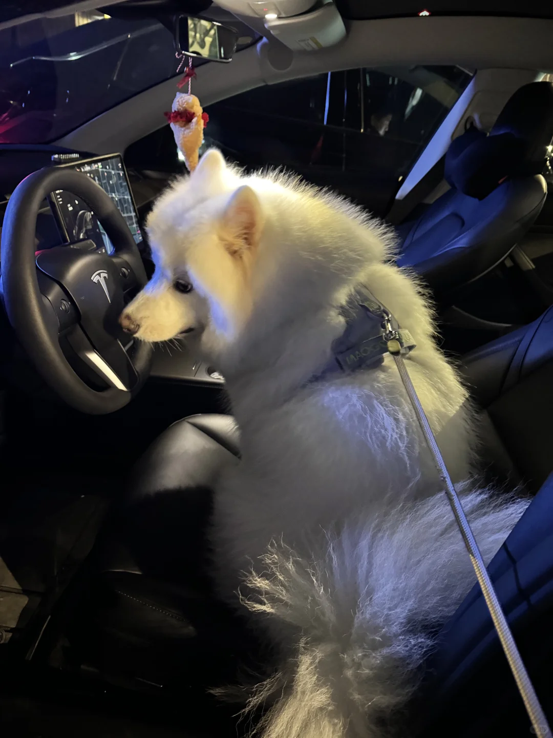 坐上！坐上我的副驾！！！