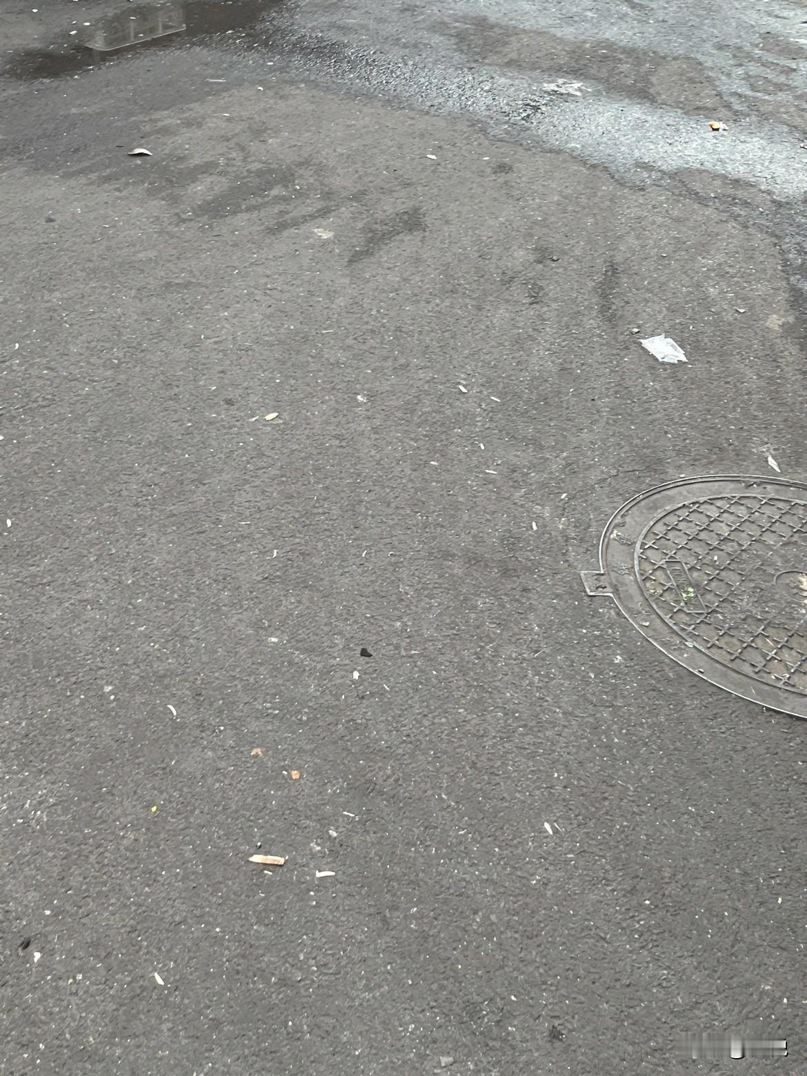 假如没有手机，我大概会把日子过成慢镜头。

清晨被窗外的鸟鸣叫醒，而不是闹铃的催