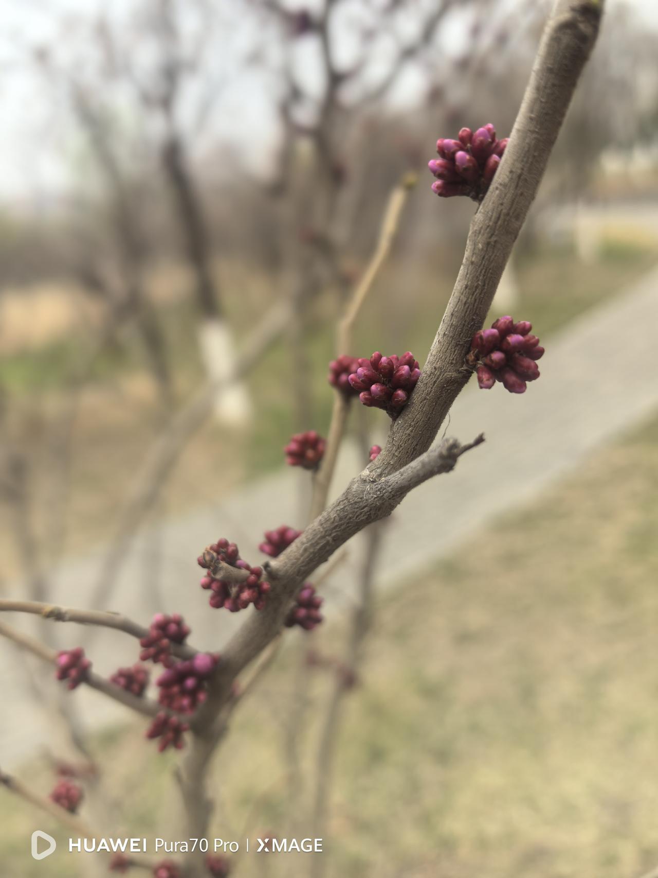 发现一个奇怪的现象，让我百思不得其解！

本以为工作日来公园休闲的都是老人和儿童