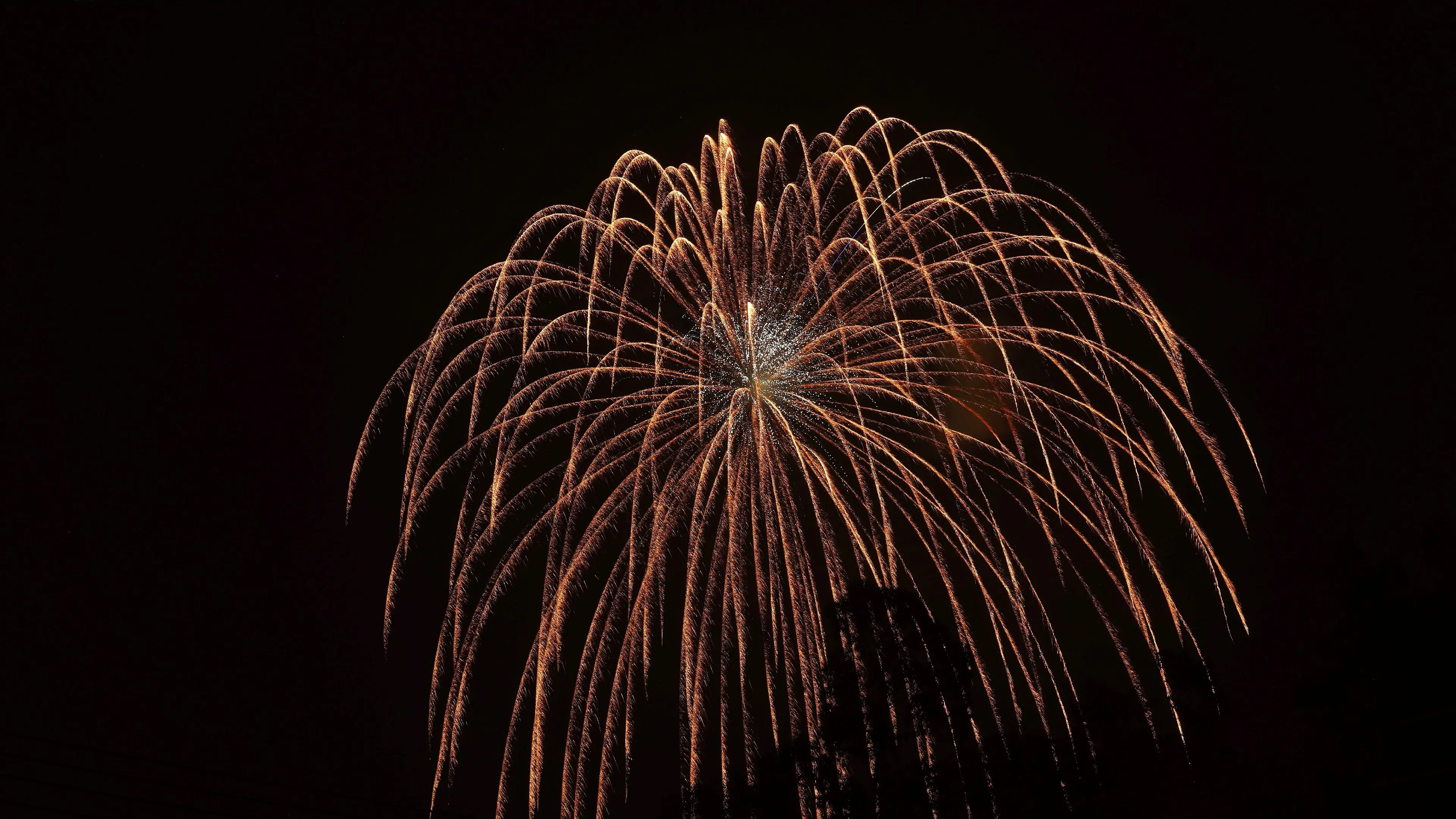 烟花秀 取景器里的世界 你拍烟花了吗