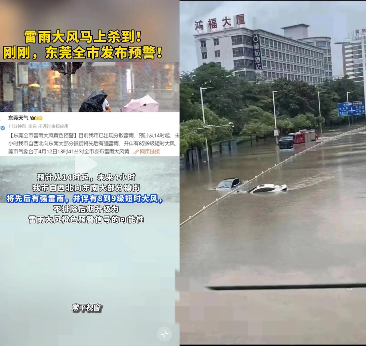说真的，东莞这场洪水，最让人心疼的不是蹚水上班的打工人，也不是被泡的车，是那些一