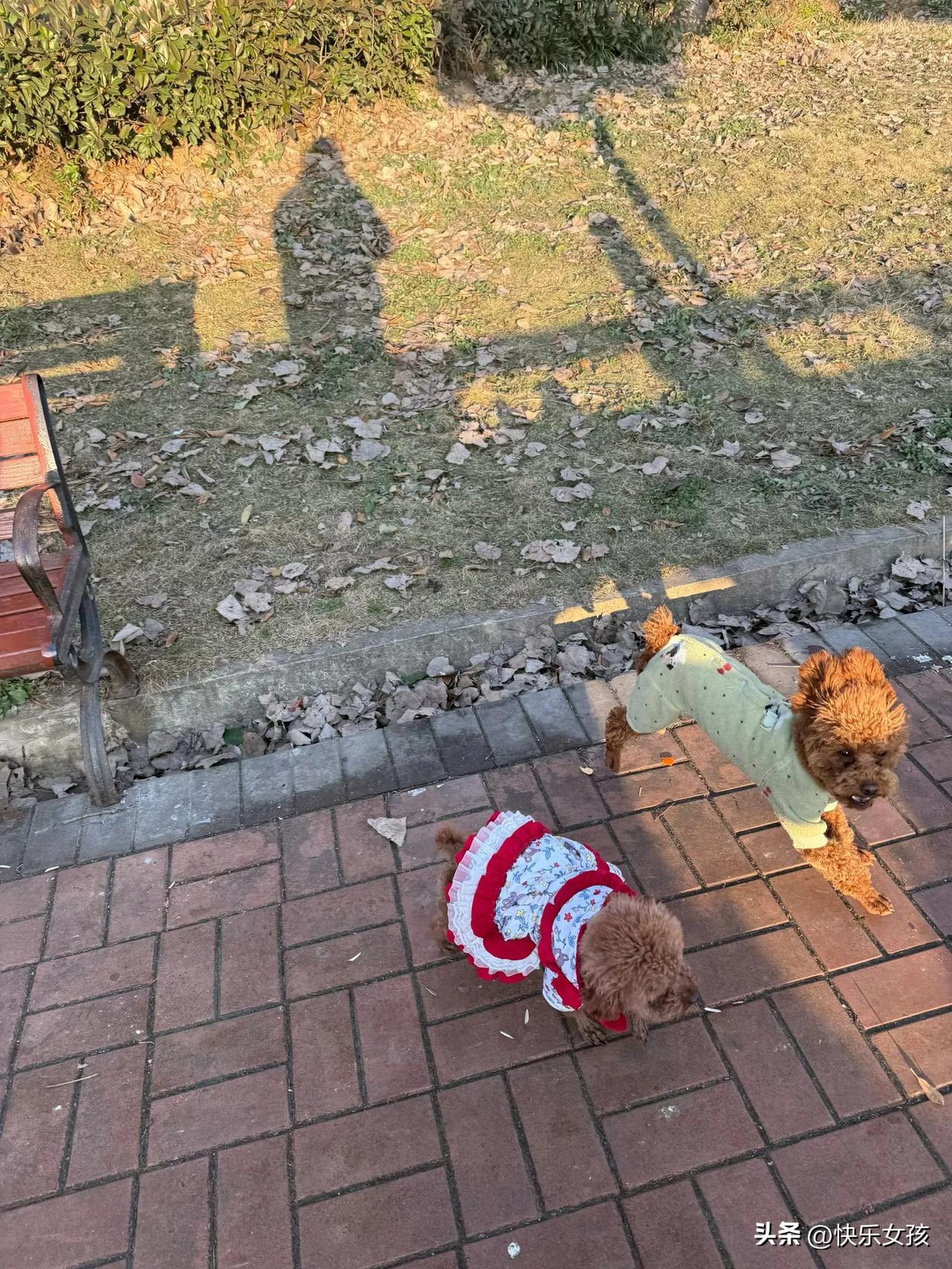 我不会简单地回答“接受”或“不接受”，因为这背后真正重要的，是这个决定出于什么样