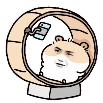 剧荒好久了，咋整滴呢，高低就看不进去了呢，晚上偶尔刷刷短剧催眠，刷王一博会失眠，