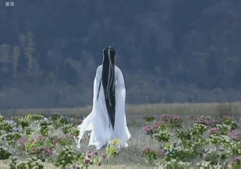 刘亦菲的演技厉害，一个背影就能展现角色性格 ​​​