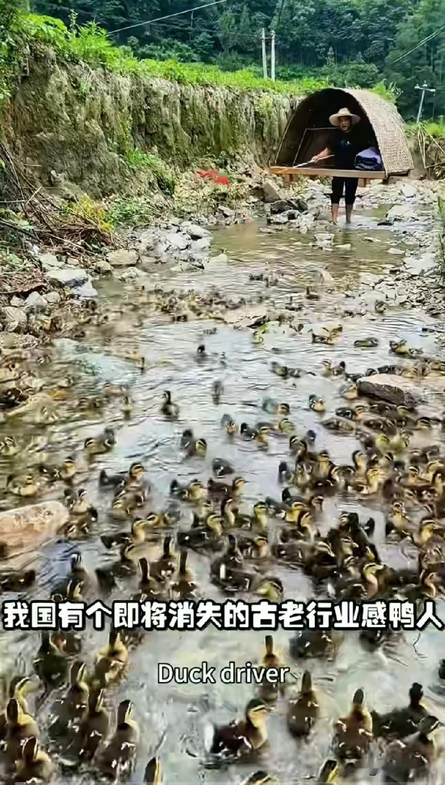 90年以后就没看到过了