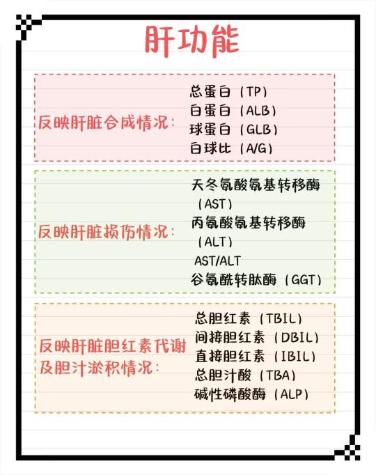 肝功能详解！