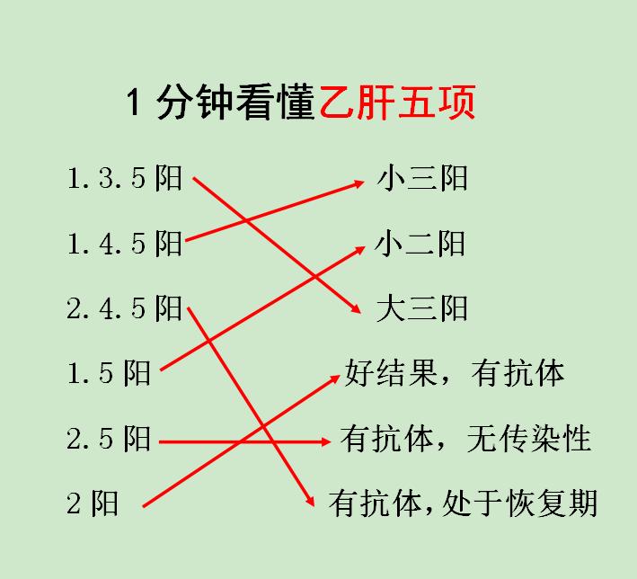 1.3.5阳性属于大三阳，病毒量高，传染性强，1.4.5阳性属于小三阳...