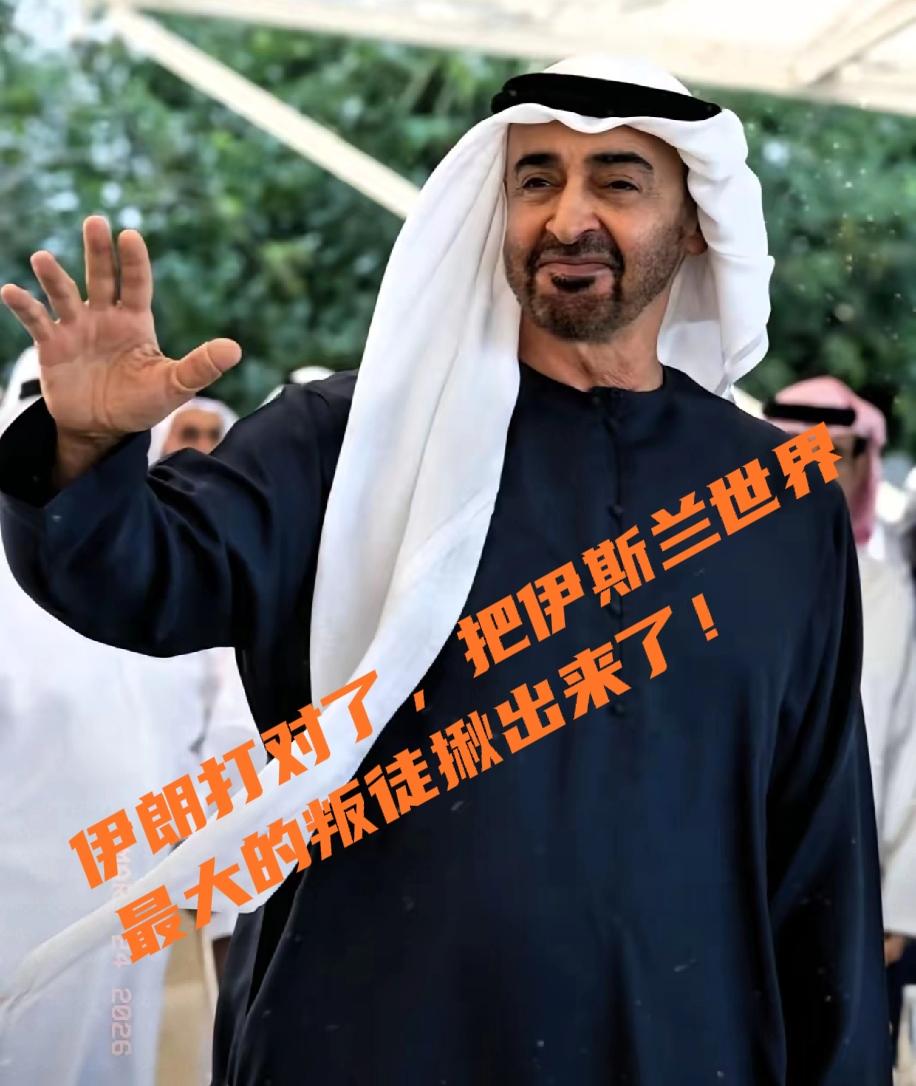 伊朗打对了，把伊斯兰世界最大的叛徒揪出来了！
 
近期中东局势持续紧张，美以接连