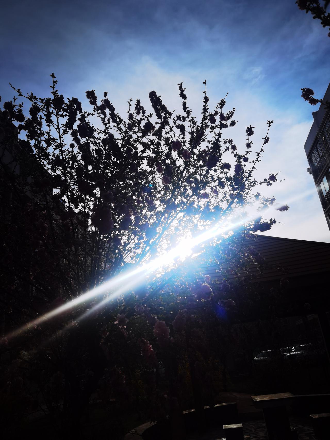 现在“暴走团”名声越来越糟糕，其原因是侵占道路、阻碍消防车和救护车的事儿，让人们