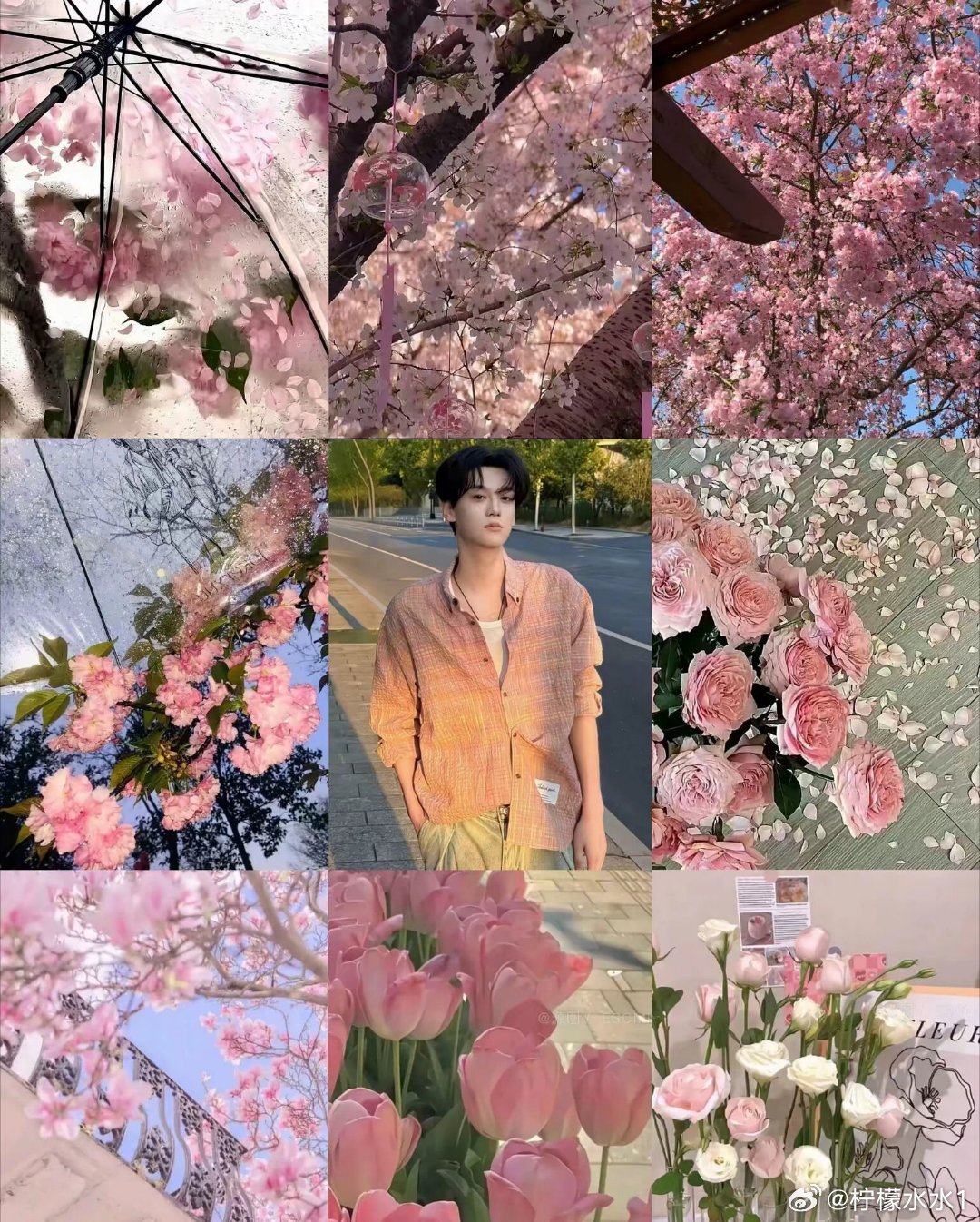 田栩宁 txn向全世界安利田栩宁 每一天睁开双眼，你和阳光都在，那就是最好的未来