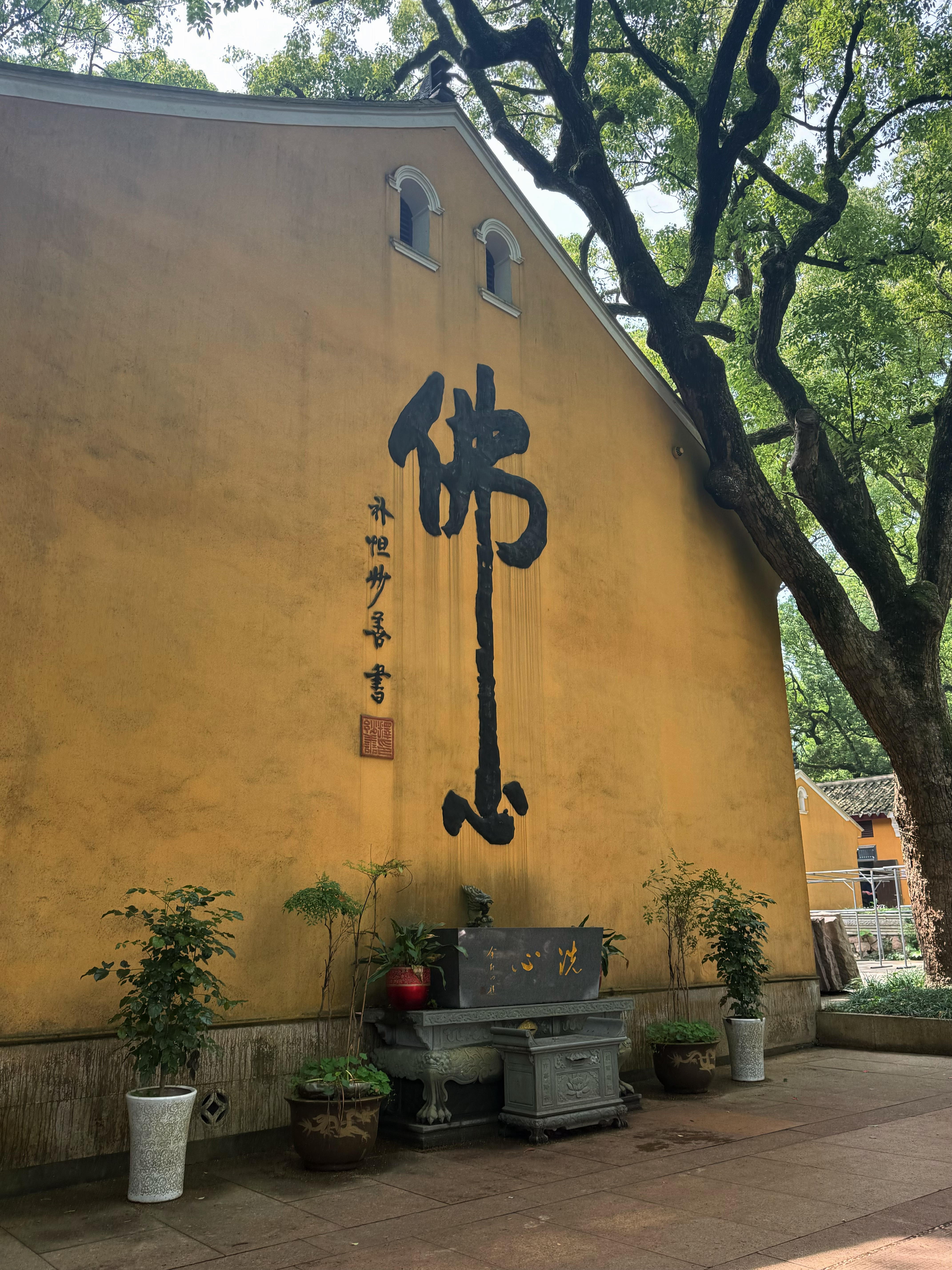 📍𝐏𝐮 𝐭𝐮𝐨 𝐬𝐡𝐚𝐧 🪷“来了就好，越来越好” 舟山·