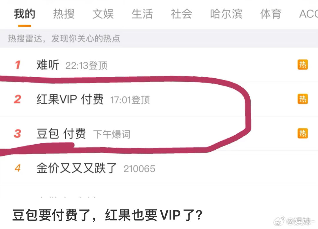 红果一直有vip可以充啊  VIP免广告… 