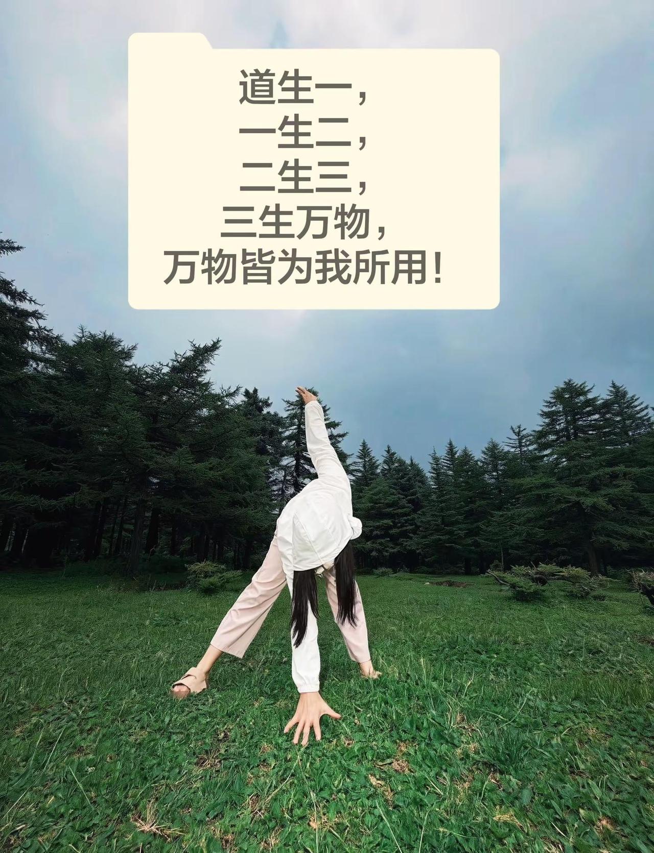 独自穿越过黑暗森林，亲眼目睹了自己的崩塌与重建，强的可怕！一路艰辛，该反省的是自