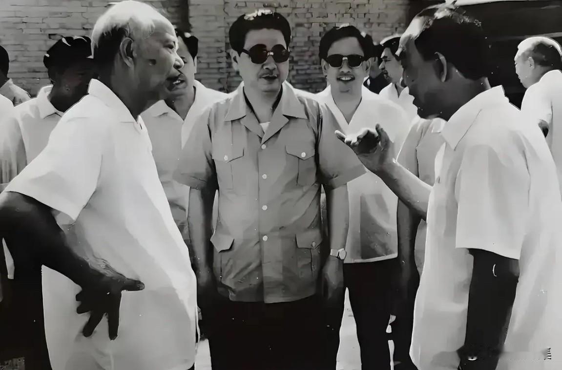 1984年6月17日，万里副总理、李鹏副总理一行抵达神头一电厂建设工地，深入三期